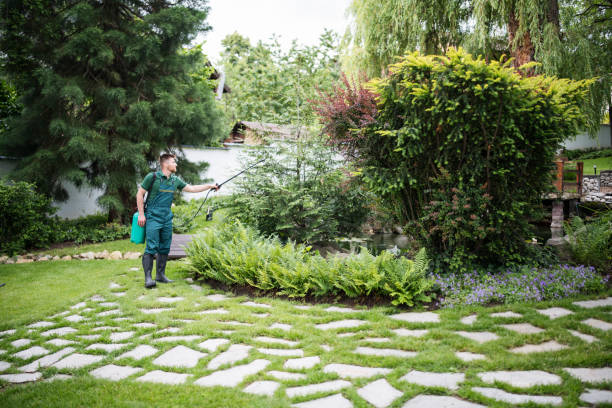 Best Residential Pest Control  in Bristol, VA